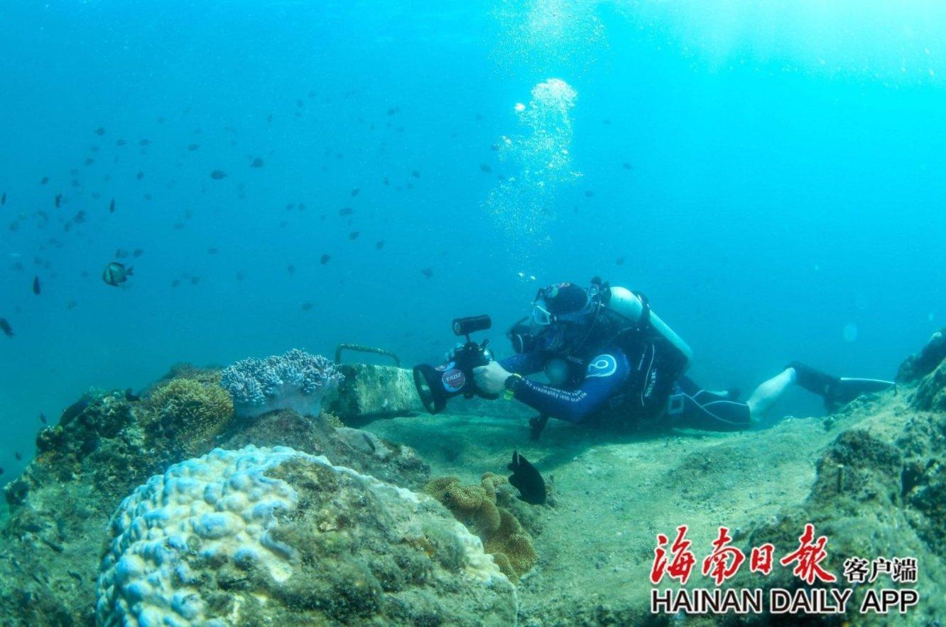网贷逾期,会影响到信用卡的正常使用情况吗-全球最大的红迪网平台